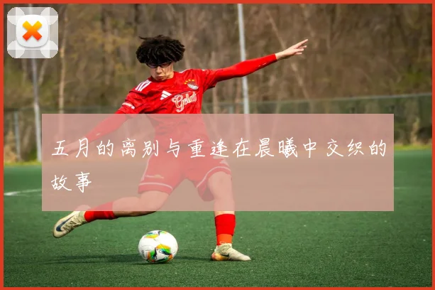 五月的离别与重逢在晨曦中交织的故事